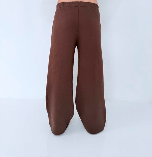 SCRT Pants In Brown