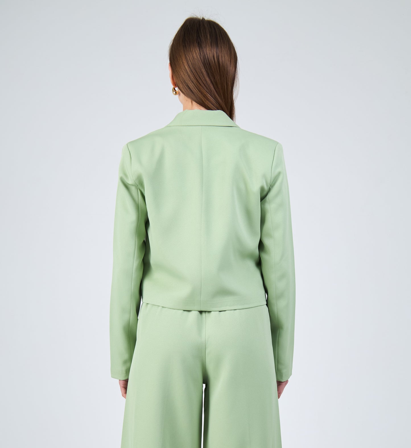 Formal Cropped Blazer With Two Buttons In Mint Green