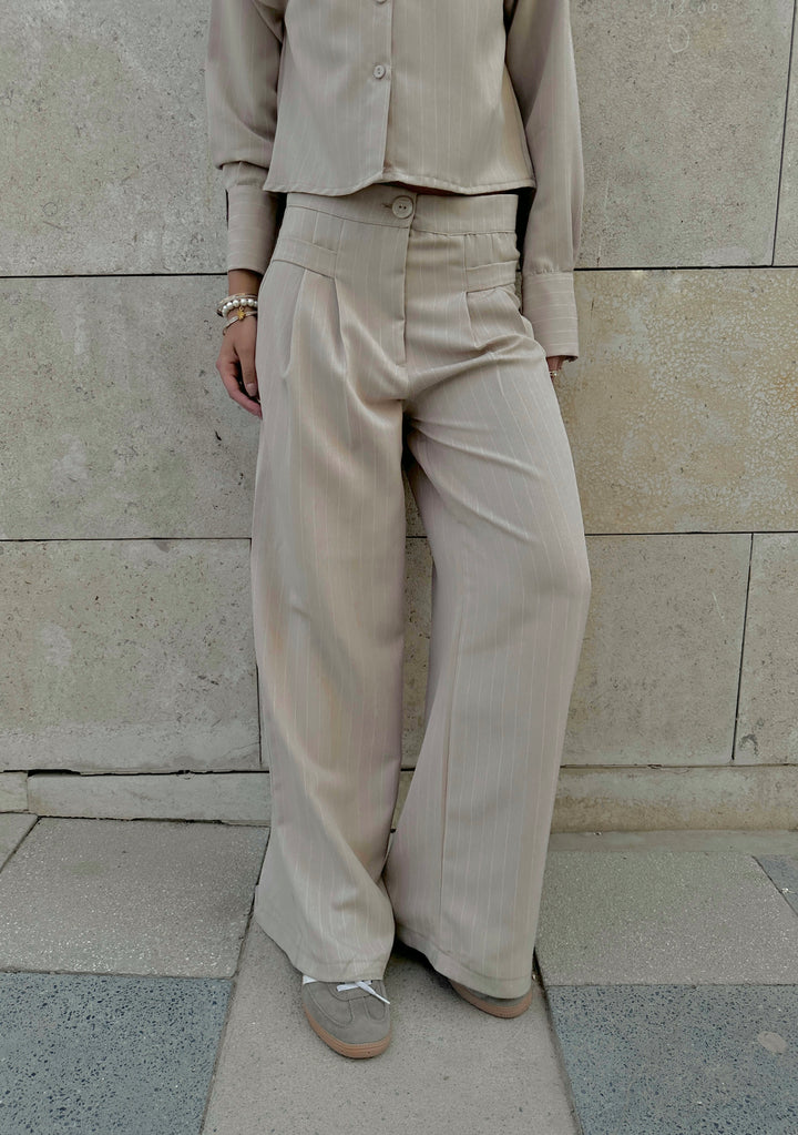 Sleek Stripe Pants In Beige
