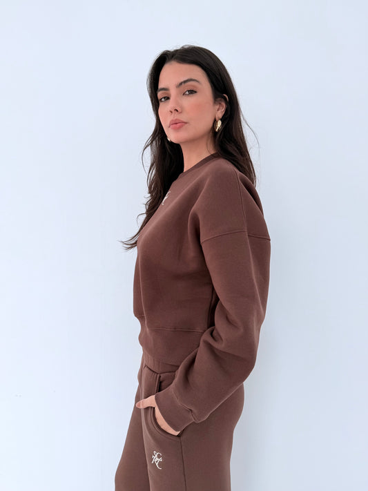 SCRT Sweatshirt In Brown