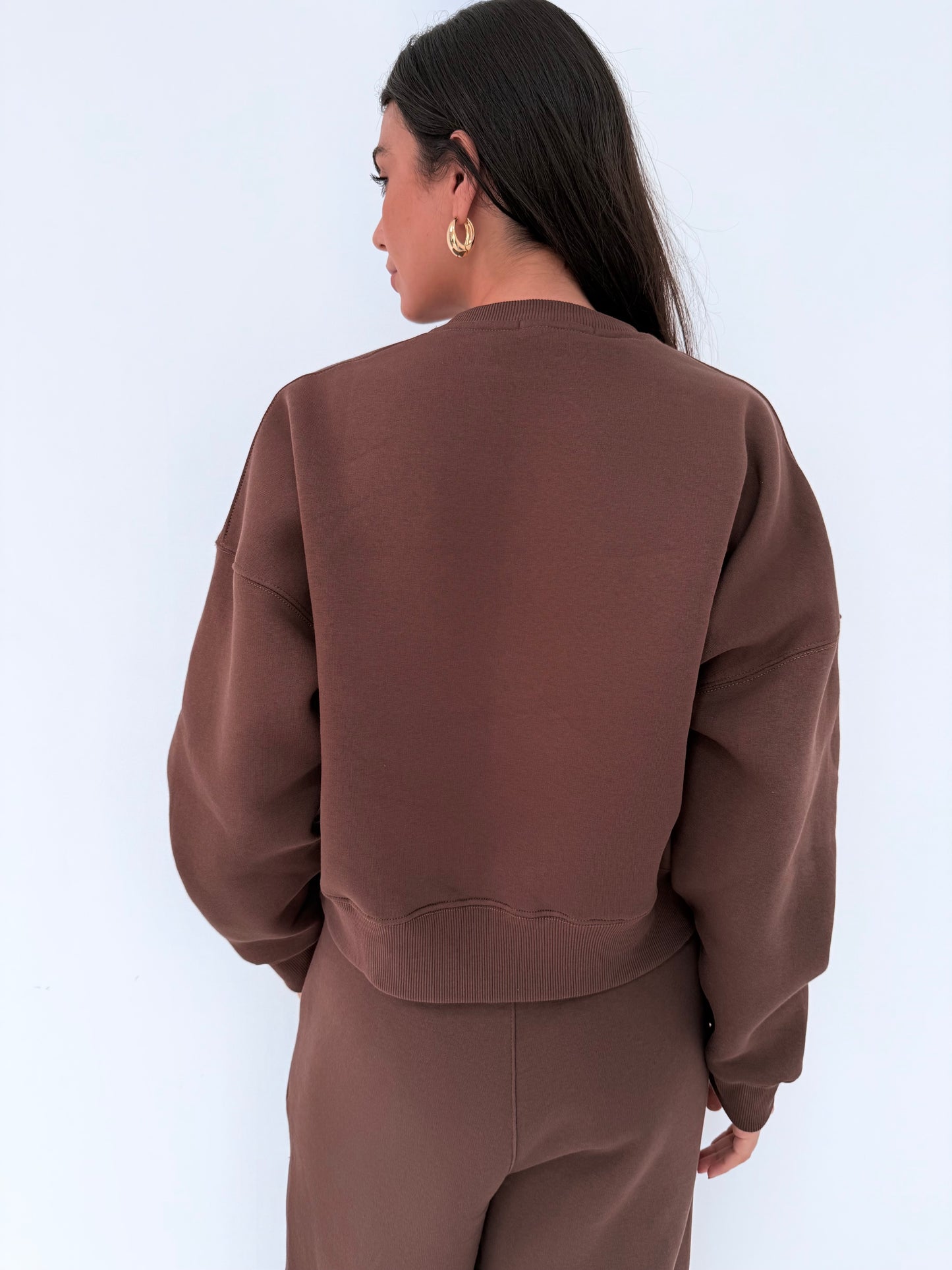 SCRT Sweatshirt In Brown